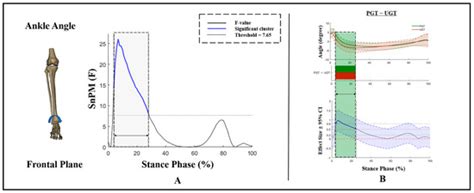 The Effect of Arch Stiffness on the Foot–Ankle Temporal Kinematics ...