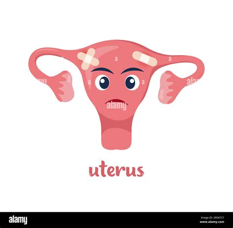 Unhealthy Vagina Anatomy Real Pictures