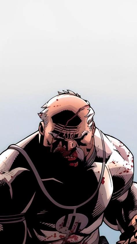 Image result for Conquest Invincible PFP