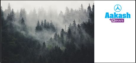 What are the Differences between Gymnosperms and Angiosperms ...