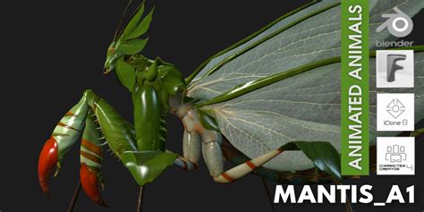 Image result for Mantisx Tutorial Blender