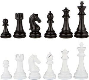 Quinergys Foldable Chess Game Ideal for Professional Chess Players ...