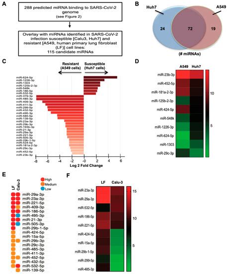 Computational Analysis of Targeting SARS-CoV-2, Viral Entry Proteins ...
