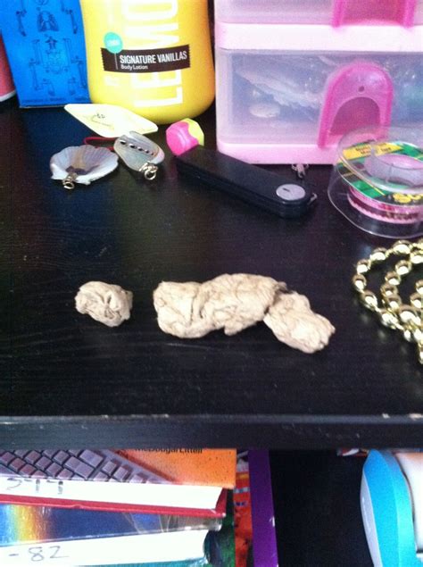 Image result for How to Make Fake Poop Slime