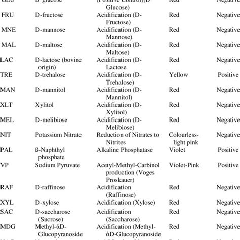Image result for API Staph Test