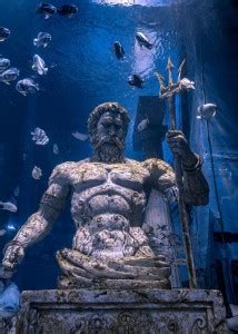 FISH POSTER, Sea poster, ANIMALS Poster for Wall, Nature Posters | A3 ...