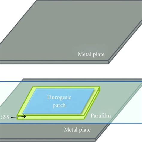 Image result for SSS Tutorial