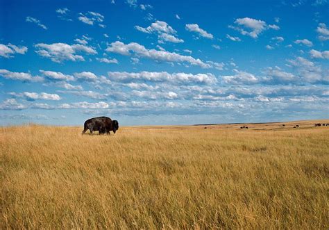 Which Native American Tribe Called South Dakota’s Plains Home?