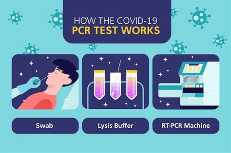 How Is PCR Test Done 的图像结果