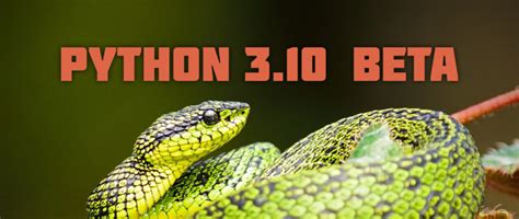 Image result for Python 10