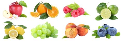 Image result for Fruit Example