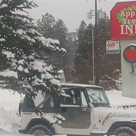 APPLE TREE INN (Spokane) - Reviews, Photos, Rate Comparison