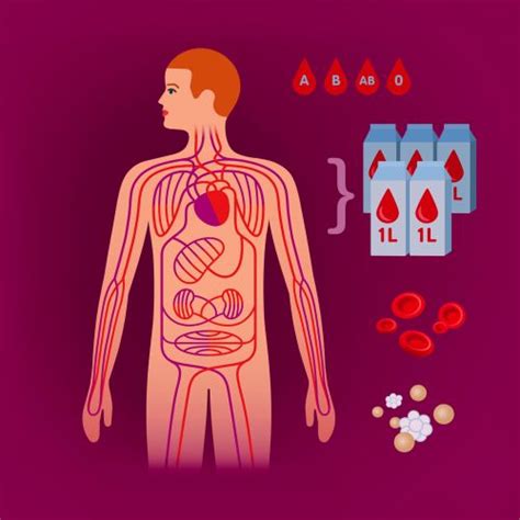 医学 的图像结果