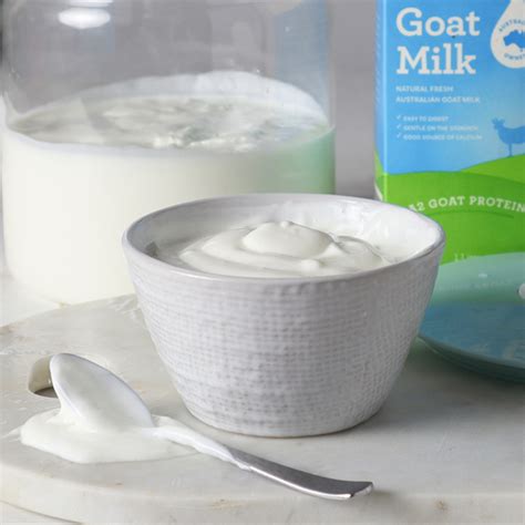 24 hour goat milk yogurt recipe for SCD & GAPS - Luvele US