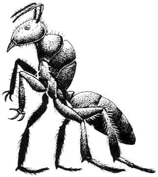 Image result for Dnd Formian Taskmaster