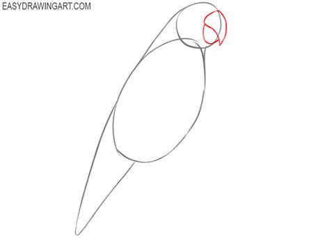 Image result for How to Draw a Parrot Two