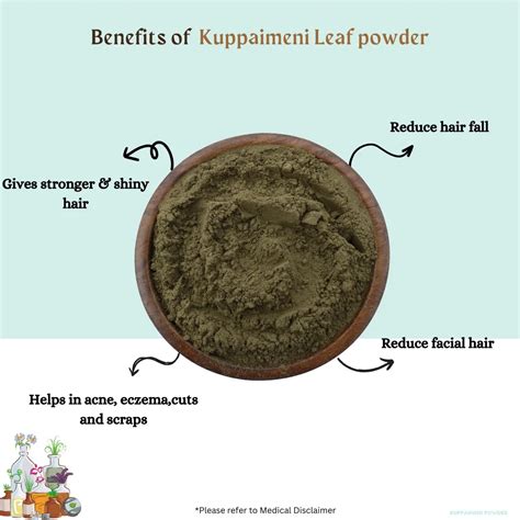 Nettle Leaf Powder – Madurasherbals