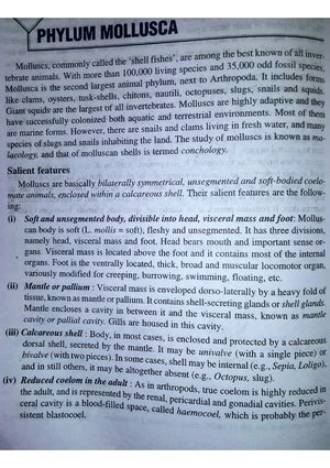 Classification of phylum Cnidaria - complementary zoology - Studocu