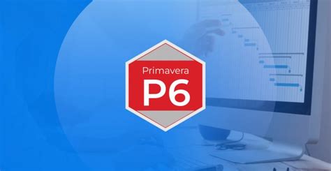 Image result for Oracle Primavera P6 Software Invoice