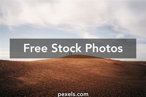 Mid Journey 的图像结果