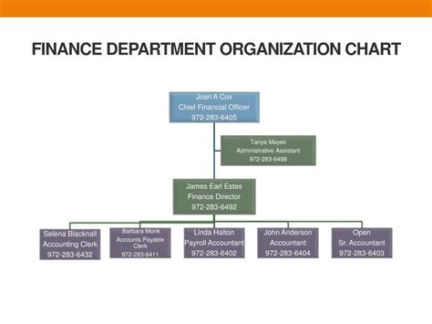 Finance Organization Chart 的图像结果