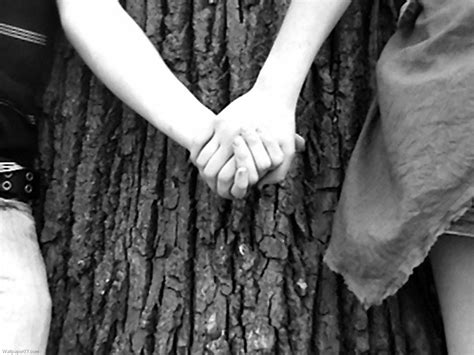 Gf Bf Comp 的图像结果