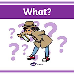 👉 5 W Questions Posters | Who, What, Where, When, Why (& How)