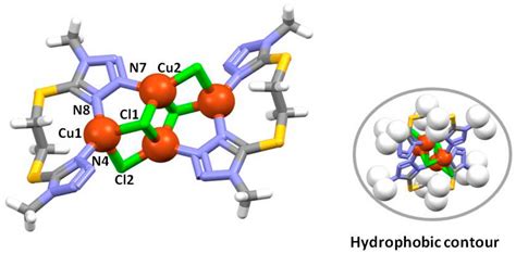 Metallosupramolecular Compounds Based on Copper(II/I) Chloride and Two ...