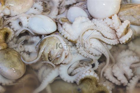 泰国市场上的章鱼和其他海鲜高清摄影大图-千库网