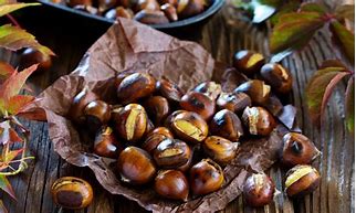 Image result for Are Chestnuts Good for you