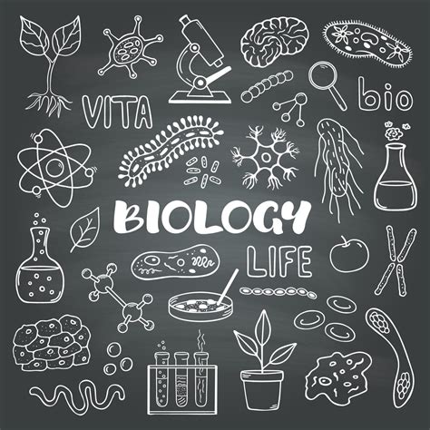 Biology Cute Pictures 的图像结果