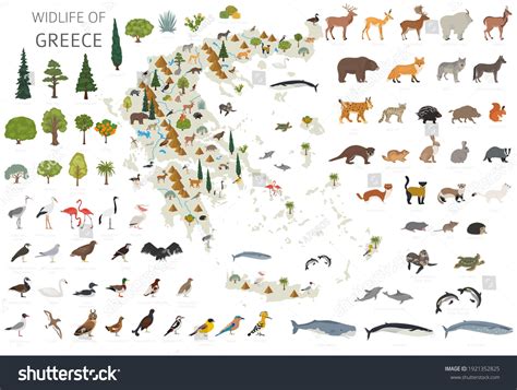Wildlife In Greece