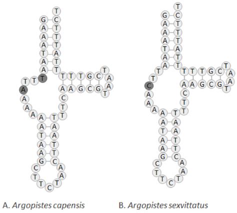 Labels KeyShot 的图像结果