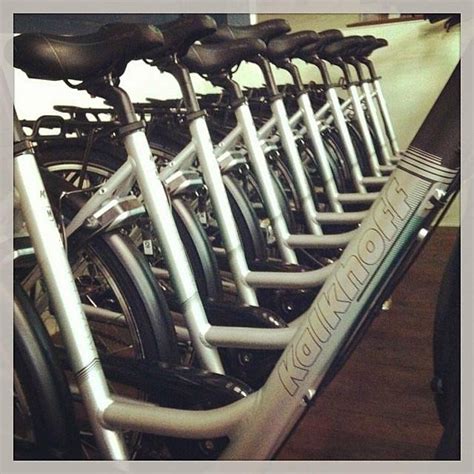 GINO CARTS & BIKES RENTAL (2025) All You Need to Know BEFORE You Go ...