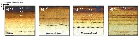 Characterisation of High Temperature Oxidation Phenomena during AISI ...