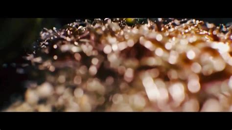 Alien: Romulus Trailer 的图像结果