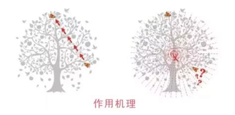 Install Python 的图像结果