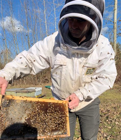 Image result for Basic Beekeeping Course