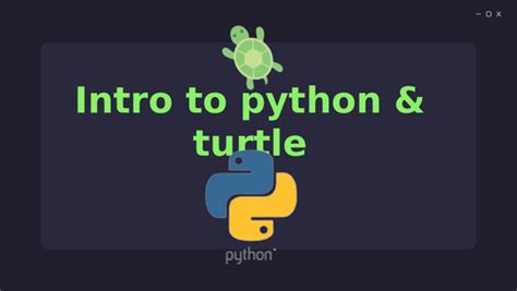Image result for Python Turtle Classroom