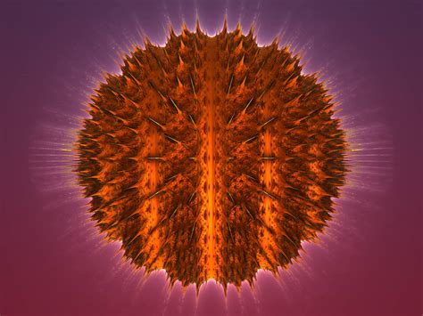 Image result for Fuzzy MLB