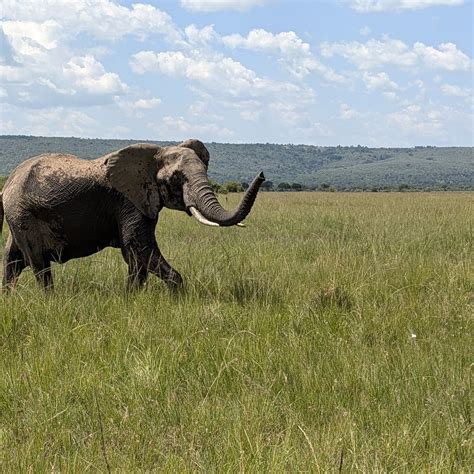 2026年 Horizon Gest Safaris - 出発前に知っておくべきことすべて