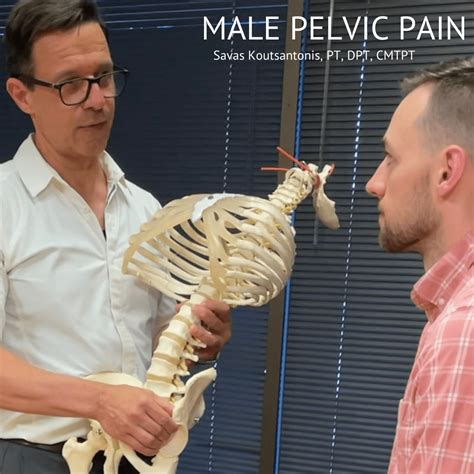 Male Pelvic Pain One on One Physical Therapy Pelvic Floor Articles