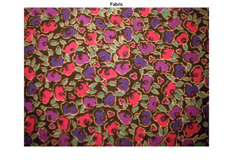 Image result for Genetic Algorithm Image Segmentation MATLAB