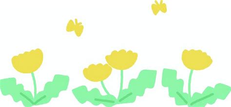 Image result for Java Turtle Graphics