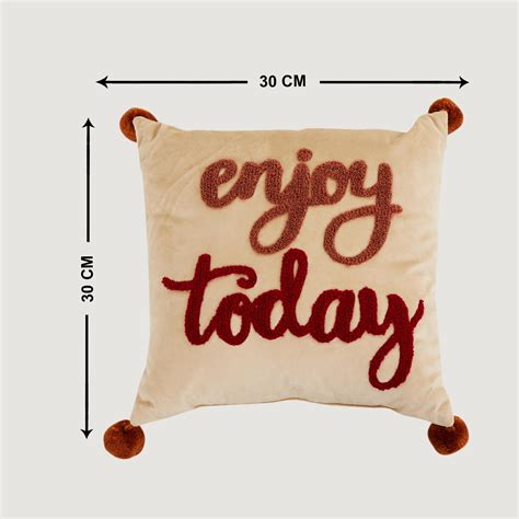 Buy Lark Get The Look Appliqued Velvet Filled Cushion - 30 x 30 cm from ...