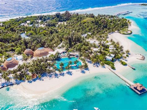 Journey Bees - Committed to services