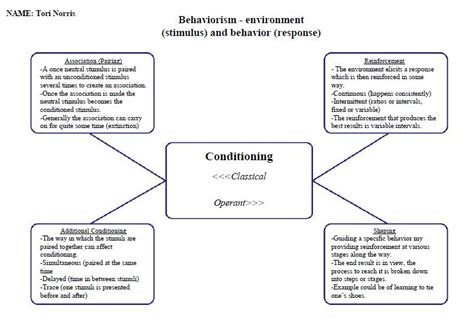 Behaviorism 的图像结果