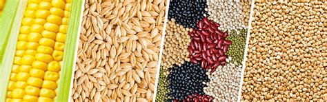 Crop Production And Management Important Question Answer - Class 8 ...