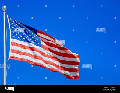 Us National Flag 的图像结果
