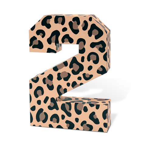 Buy Cheetah Birthday Decorations, Two Years Old Wild Leopard Birthday ...